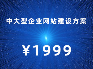 中大型企业网站建设方案